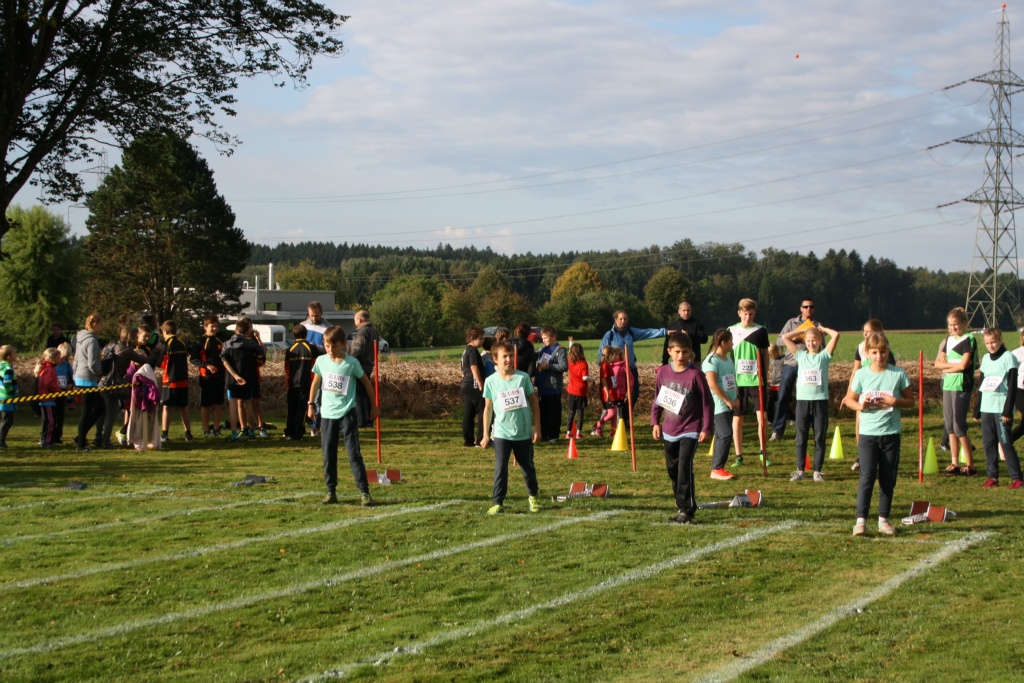 Bild 1 (34)
